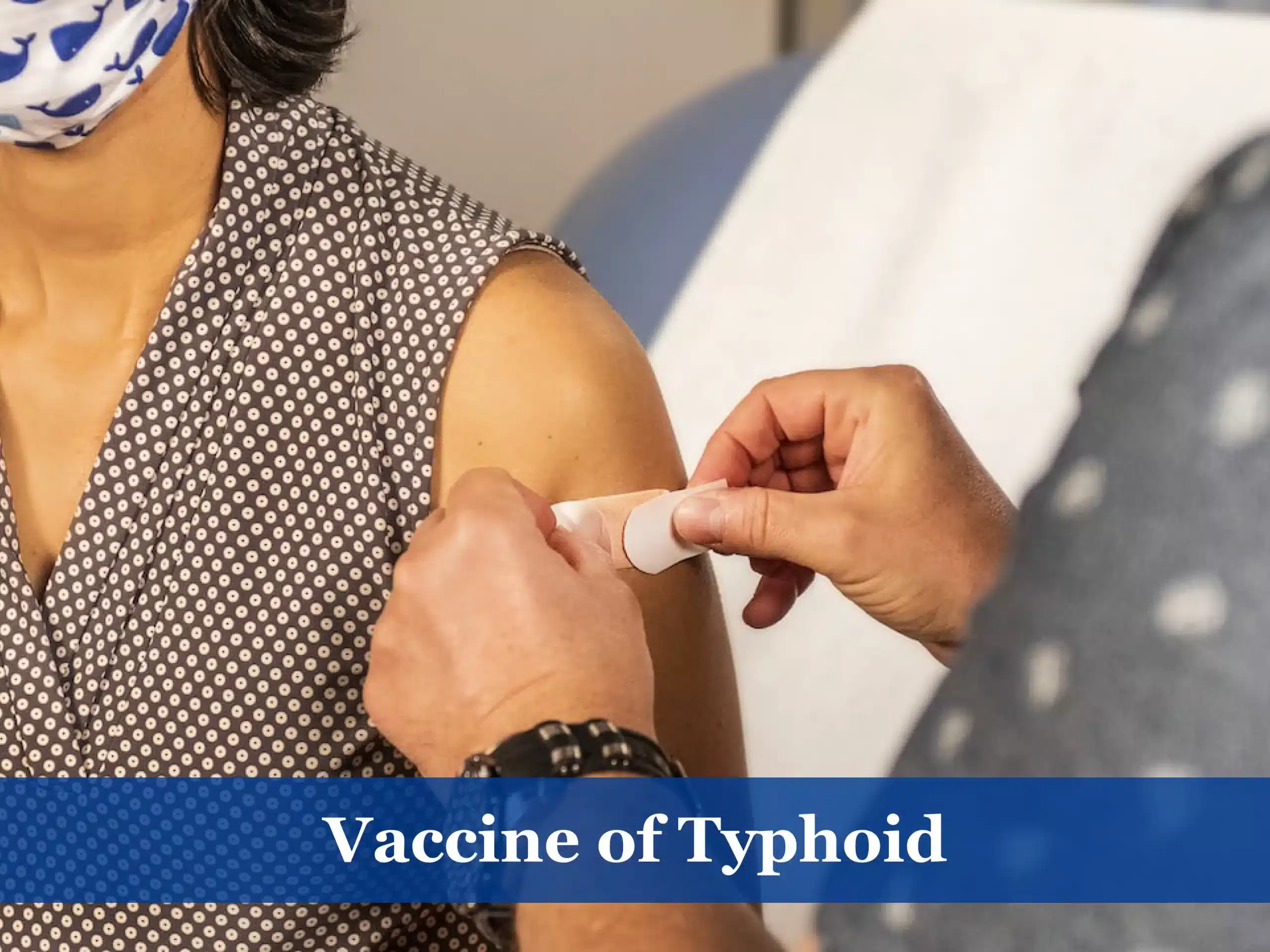 Vaccine of Typhoid Bali