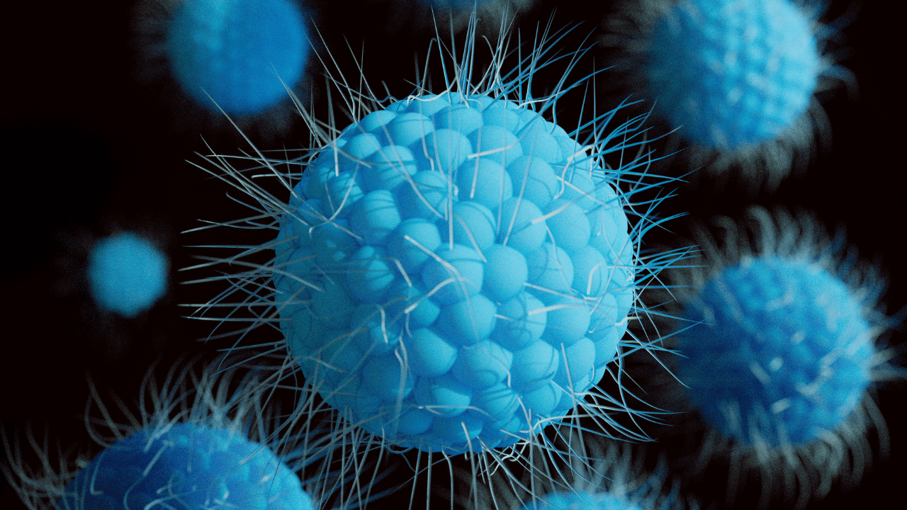 Viral infections 1