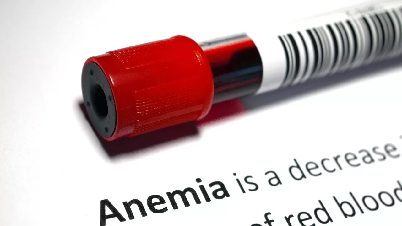 The Function and Usefulness of Anemia Testing