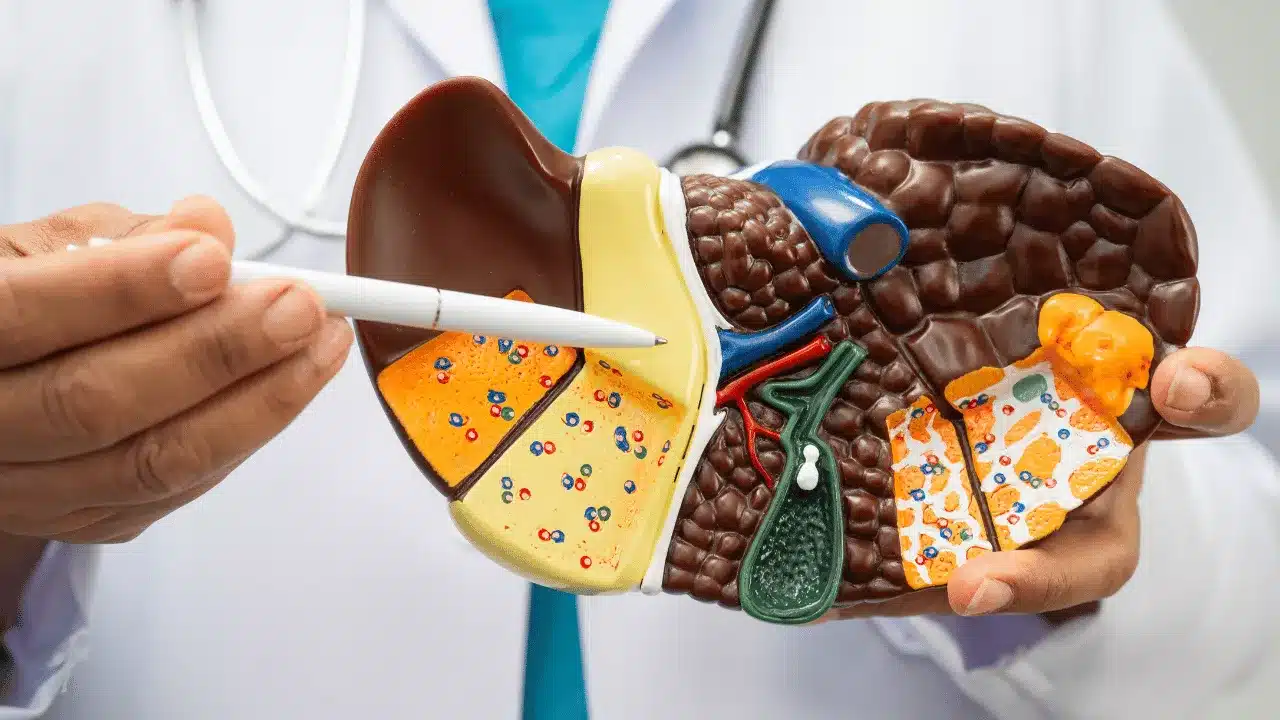 Why Are Liver Function Tests Important