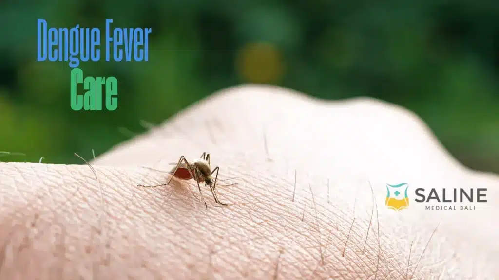 Dengue Fever Care