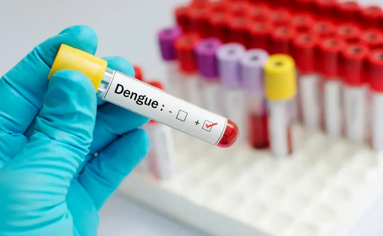 dengue 1