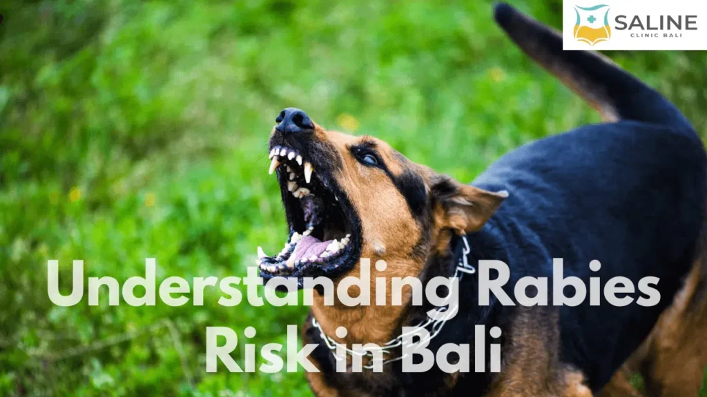 Understanding Rabies Risk in Bali